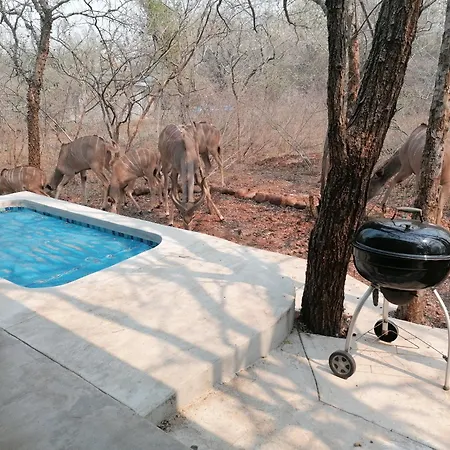 Bushbuck Rest Apartment Marloth Park Exterior photo
