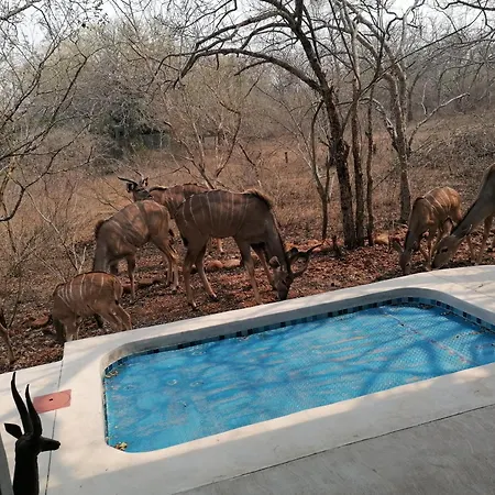 Bushbuck Rest Apartment Marloth Park Exterior photo